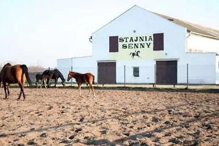 Przy Stajni Senny - Horse Riding *