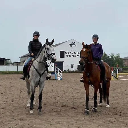 Przy Stajni Senny - Horse Riding *