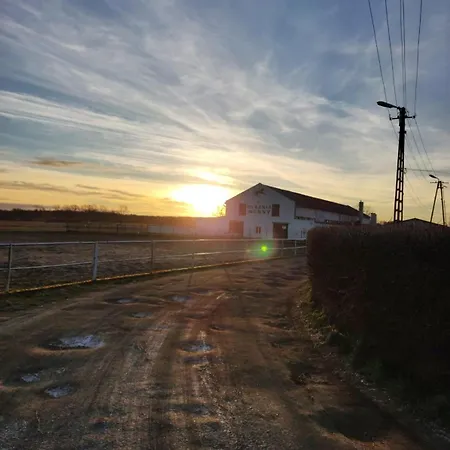 Przy Stajni Senny - Horse Riding 웨바