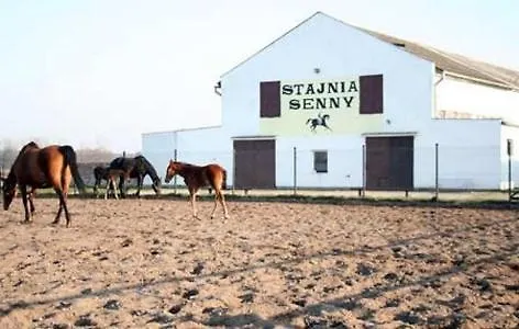 Przy Stajni Senny - Horse Riding *
