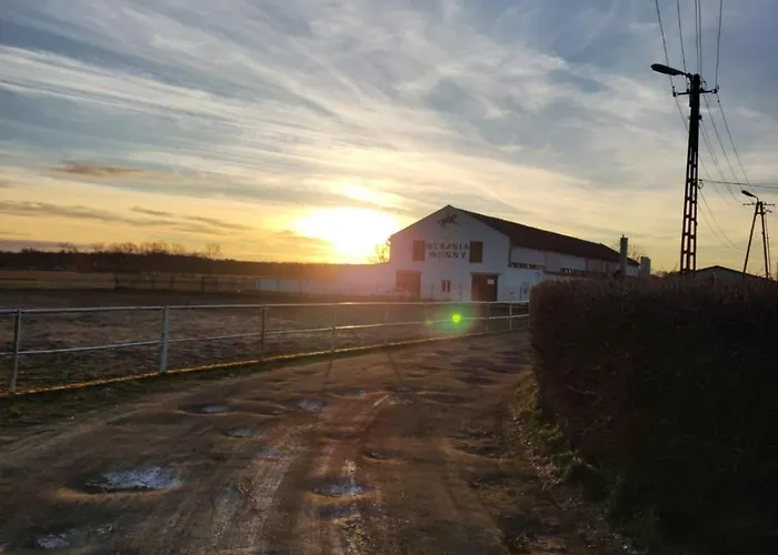 Przy Stajni Senny - Horse Riding Łeba