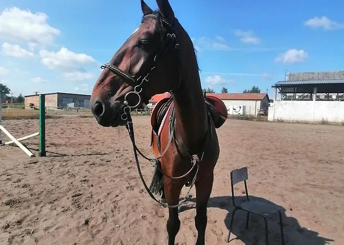 Przy Stajni Senny - Horse Riding Rum i privatbostad *